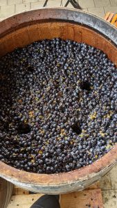 Entrappte Beeren