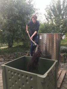 Umfüllen der Maische