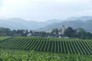 Blick vom "Ziel" auf Betberg